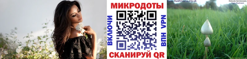 Галлюциногенные грибы мухоморы  Велиж 