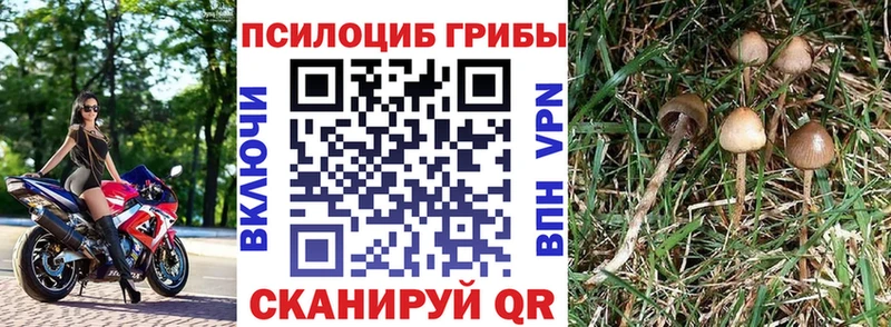 Галлюциногенные грибы ЛСД Велиж